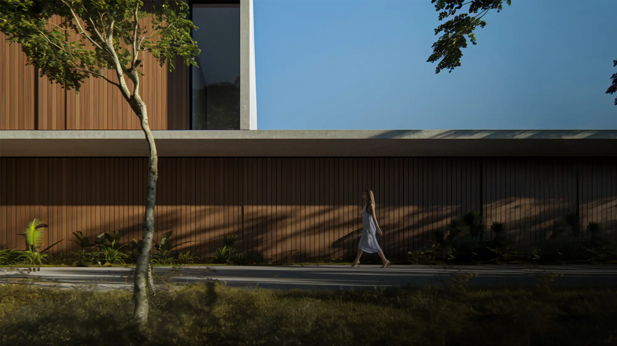 Tropical-Black-Beautiful-Background